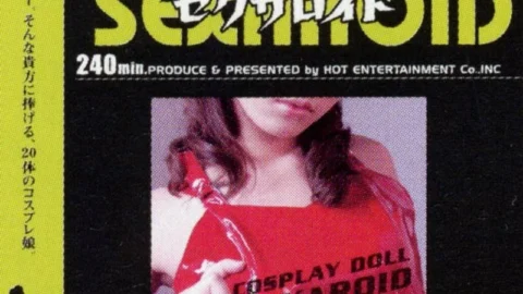 HET-088 cosplay doll sexaroid