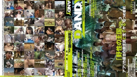 DANDY-462 “Wild Kingdom” VOL.3 Arina Sakita, the oldest indigenous people in Africa