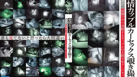 TEYE-008 Estrus Couple Car Sex Peeping
