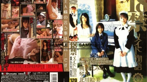 SDDC-007 18+ Maid Story – Kyoko Kazama (Kyoko Kazama)