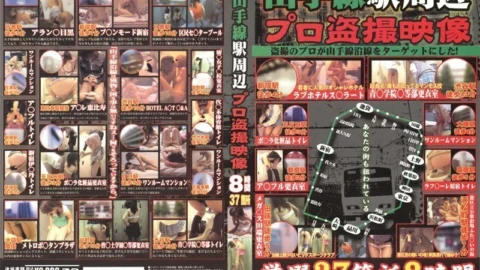 TOVX-001 Around Yamanote Line Station Professional Voyeur Video