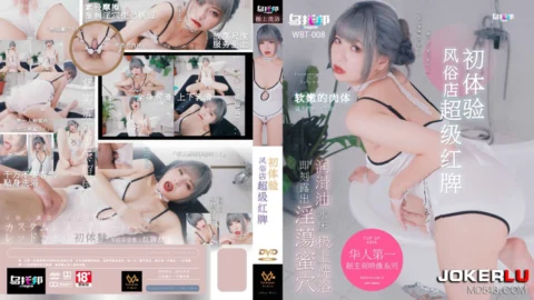 WTB-008 Super Popular Brothel Girl’s First Experience