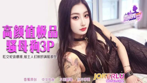 XJX551: Gangbanged in the Ass and Covered in Masters’ Cum
