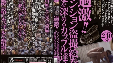 SINO-221 Radical! ! Mansion Voyeur Picture Scroll Couples Who Deepen Love 2
