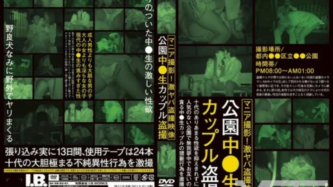 IBW-205 In the park ○ raw couple voyeur – South Aoi