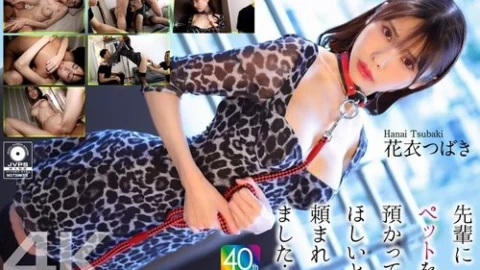 [UNCENSORED-LEAK] CRNX-254 [4K] My Senior Asked Me To Take Care Of His Pet… Hanagoromo Tsubaki