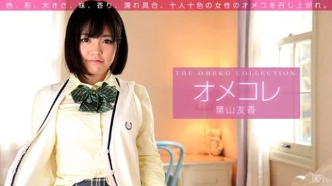 1PONDO-011416-001 1Pondo-011416_001 — Omekore Pussy Collection Yuka Hayama