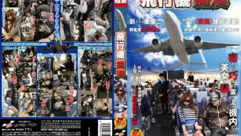 NHDT-964 Airplane Slut ●