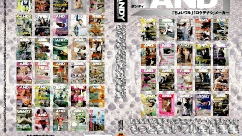 DANDY-106 DANDY 2nd Anniversary Official Complete Edition Choi Wal Complete Work Collection