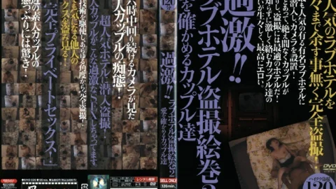 SINO-025 Radical! ! Love hotel voyeur picture scroll 2 Couples confirming their love
