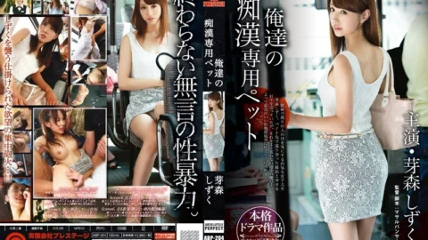 [UNCENSORED-LEAK] ABP-204 Our Slut ● Dedicated Pet Memori Shizuku