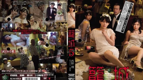 [ENGLISH-SUBTITLE] RBD-541 Siege 5 Sho Nishino Hikari Hino Yui Asano