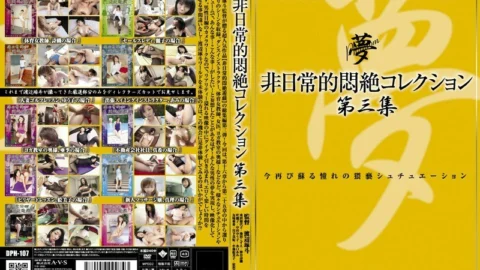 DPH-107 Extraordinary Agony Collection Vol.3 – Reiko Kano